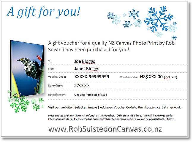 Gift Voucher for RobSuistedonCanvas.co.nz