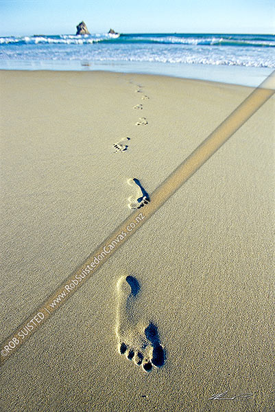 Photo of Human footprints on sandy beach leaving water - Sandfly Bay Beach, Otago Peninsula, Dunedin City, Otago Region, New Zealand (NZ)