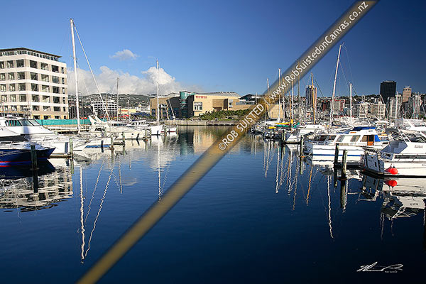 Photo of Yachts and boats reflecting in Chaffers Marina infront of Te Papa Museum and Wellington City, Wellington, Wellington City, Wellington Region, New Zealand (NZ)