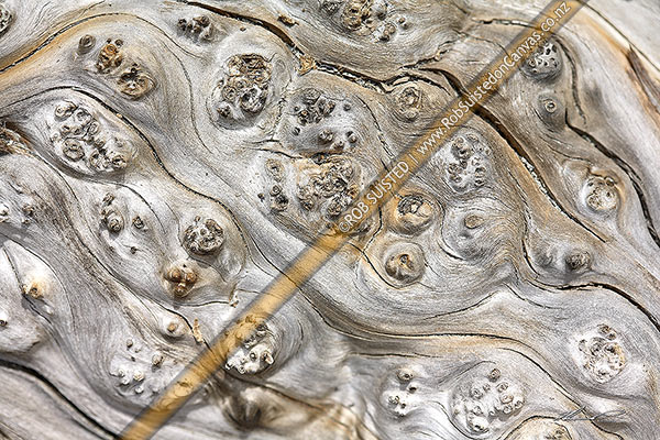 Photo of Old weathered wood grain texture pattern. Wood bur,, New Zealand (NZ)
