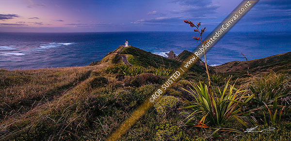 Photo of Cape Reinga (Te Rerengawairua) lighthouse at dusk above Columbia Banks and Spirits Leap., North Cape. Flax bush (Phormium sp.) in foreground, Cape Reinga, Far North, Northland Region, New Zealand (NZ)