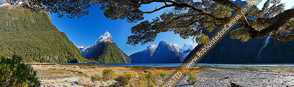 Photo of Mitre Peak in Milford Sound. Mitre Peak left (1683m), Stirling Falls centre, The Lion (1302m) and Mt Pembroke (2015m) centre right. Panorama under beech trees, Milford Sound, Fiordland National Park, Southland, Southland Region, New Zealand (NZ)