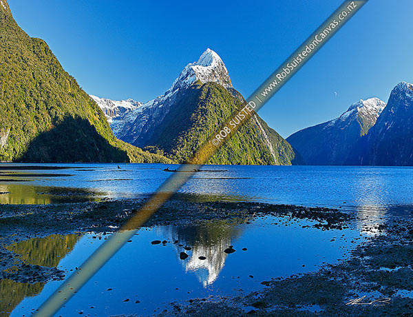 Photo of Mitre Peak reflecting in Milford Sound. Mitre Peak left (1683m), Stirling Falls left, Milford Sound, Fiordland National Park, Southland, Southland Region, New Zealand (NZ)