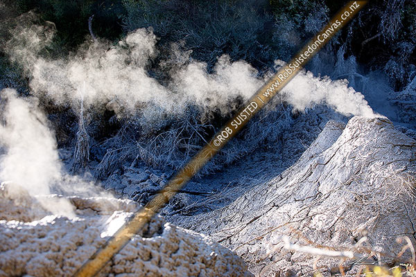 Photo of Geothermal mudpools. Steaming cone of boiling mudpools, Waiotapu, Rotorua, Bay of Plenty Region, New Zealand (NZ)