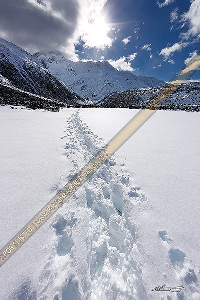 Photo of Kea Point track walk in winter with heavy snowfall. Walkers tracks through snow with Mount Sefton above on the southern alps Main Divide, Aoraki / Mount Cook National Park, MacKenzie, Canterbury Region, New Zealand (NZ)