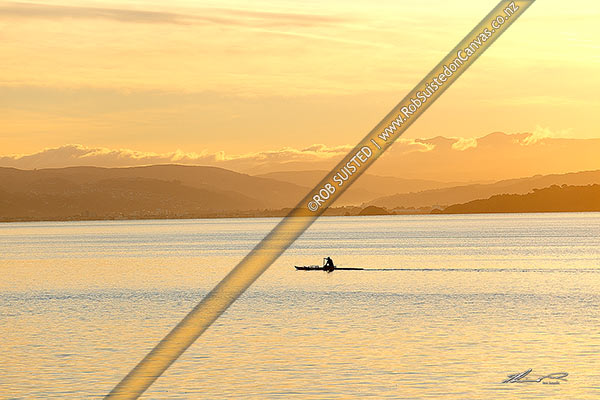 Photo of Wellington Harbour with waka ama (outrigger canoe) paddler in front of the Hutt Valley and Tararua Ranges (distant) at dawn, Wellington, Wellington City, Wellington Region, New Zealand (NZ)