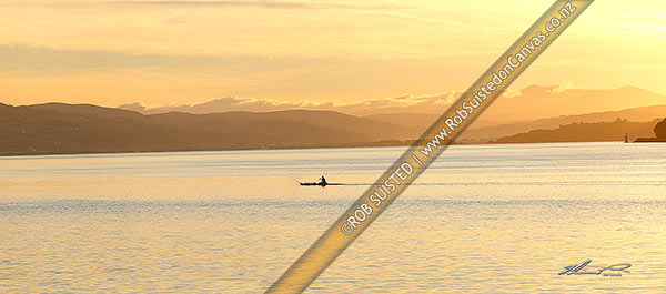 Photo of Wellington Harbour with waka ama (outrigger canoe) paddler in front of the Hutt Valley and Tararua Ranges (distant) at dawn. Point Halswell right. Panorama, Wellington, Wellington City, Wellington Region, New Zealand (NZ)