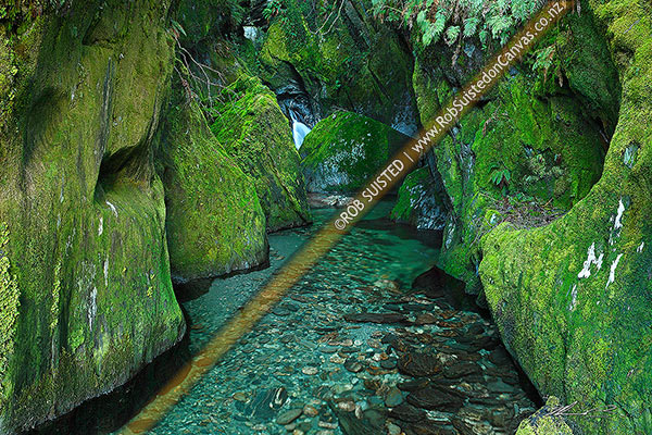 Photo of Mossy green side creek in the Haast River Valley, South Westland, Westland, West Coast Region, New Zealand (NZ)