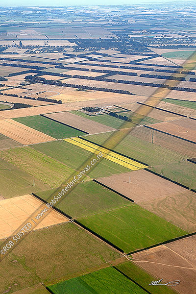 Photo of Canterbury plains, with a patchwork mosiac of irrigated farmland and crops and wind shelter belts, Rakaia, Timaru, Canterbury Region, New Zealand (NZ)