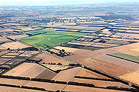 Canterbury plains
