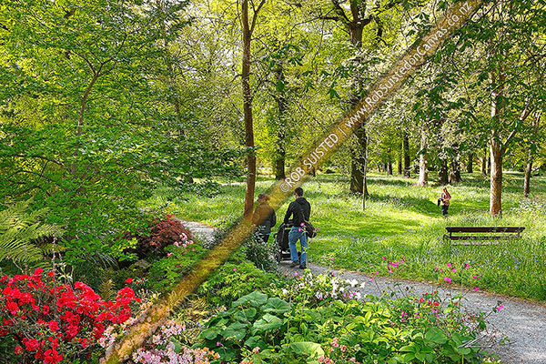 Photo of Hagley Park spring in Christchurch. Parents and people walking amongst the gardens and flowers, Christchurch, Christchurch City, Canterbury Region, New Zealand (NZ)