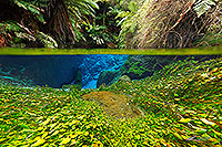 Blue springs underwater, Putaruru canvas print