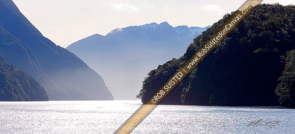 Photo of Doubtful Sound / Patea looking past forest on Elizabeth Island at right. Wilderness winter panorama, Doudtful Sound, Fiordland National Park, Southland, Southland Region, New Zealand (NZ)