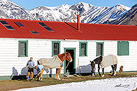 Farrier shoeing horses canvas print