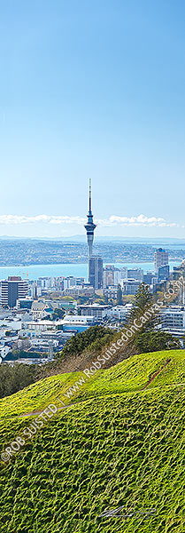 Photo of Auckland City and Waitemata Harbour from Mount Eden (Maungawhau) volcanic cone. Vertical panorama. Mt Eden, Auckland City, Auckland City, Auckland Region, New Zealand (NZ)