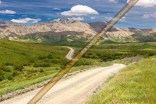 Photo of Molesworth Station road winding through the Awatere headwaters near Wards Pass. Lush spring with Inland Kaikoura Range and Turks Head (1958m) beyond, Molesworth Station, Marlborough, Marlborough Region, New Zealand (NZ)