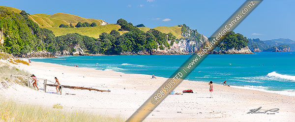 Photo of Whiritoa Beach with people enjoying swimming, surfing, walking, sunbathing and kayaking in summer warmth. Coromandel Peninsula. Panorama, Whiritoa, Hauraki, Waikato Region, New Zealand (NZ)