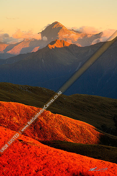Photo of Mount Brewster (2516m) at sunset, on the Main Divide of the Southern Alps, above the Haast River Valley, Haast, Westland, West Coast Region, New Zealand (NZ)