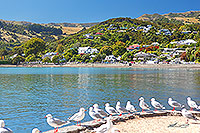 Akaroa waterfront