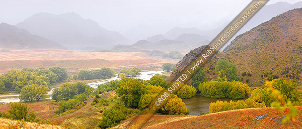 Photo of Rain and bad weather in Yeo Stream, headwaters of the Awatere River Valley. Yellowing will trees late in the season. Panorama, Molesworth Station, Marlborough, Marlborough Region, New Zealand (NZ)