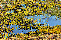 Lake Sedgemere wetlands