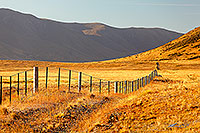 High country fenceline