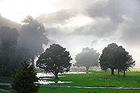 Misty rural morning, Nelson