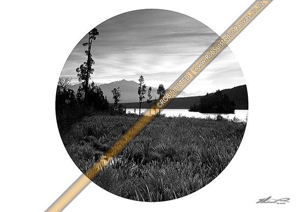 Photo of West Coast wetland roundel. Black and white circular crop for art print,, New Zealand (NZ)