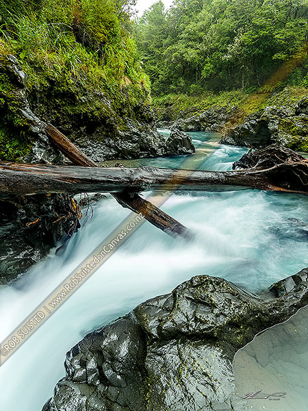 Photo of Tongariro River upper reaches in Kaimanawa Forest Park, Turangi, Taupo, Waikato Region, New Zealand (NZ)