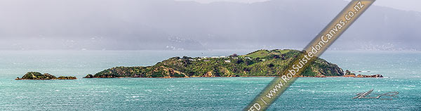 Photo of Matiu/Somes Island Scientific and Historic Reserve in Wellington Harbour, during a moody southerly cold front. Eastbourne hills behind. Panorama, Wellington Harbour, Wellington City, Wellington Region, New Zealand (NZ)