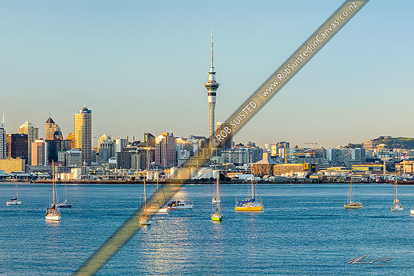 Photo of Auckland City CBD, Sky Tower, skyline, and moored sailboats in the Waitemata Harbour on a calm morning, Auckland, Auckland City, Auckland Region, New Zealand (NZ)