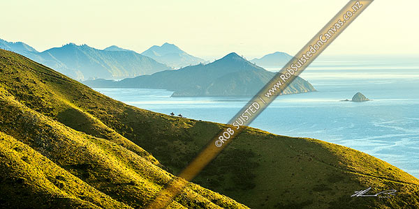 Photo of Shepherds climbing ridge above Admiralty Bay (right) and D'Urville Island (beyond), mustering with horses and dogs. Panorama, French Pass, Marlborough Sounds, Marlborough, Marlborough Region, New Zealand (NZ)