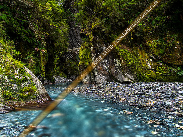 Photo of Clean mountain stream emerging from rocky gorge in remote lush rainforest, South Westland, Westland, West Coast Region, New Zealand (NZ)
