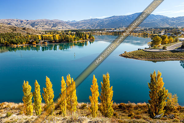 Photo of Lake Dunstan at the confluence of the Kawarau River (centre) and Clutha River (Mata-Au) at Cornish Point. Autumn colours. Carrick Range and Mt Difficulty behind, Cromwell, Central Otago, Otago Region, New Zealand (NZ)