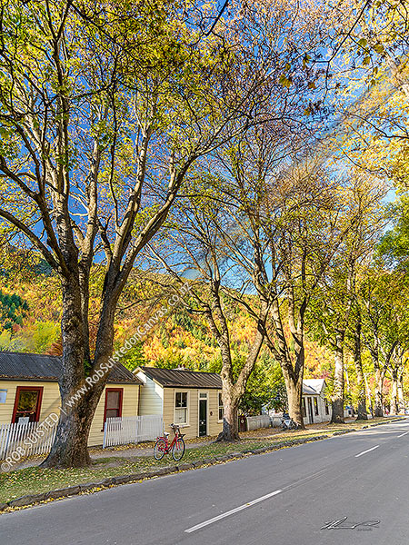 Photo of Historic Arrowtown in autumn colours. Heritage Buckingham Street with old houses and building, Arrowtown, Queenstown Lakes, Otago Region, New Zealand (NZ)