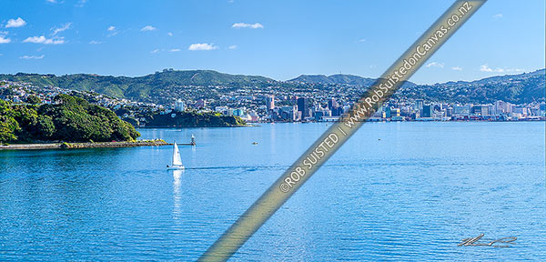 Photo of Wellington Harbour and CBD. Yachts, sailboats and small boats out on a sunny autumn day. Point Halswell light at left. Panorama, Wellington, Wellington City, Wellington Region, New Zealand (NZ)