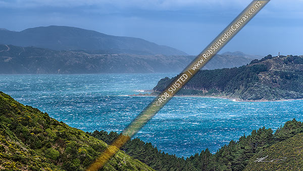 Photo of Wellington Harbour whipped into a frenzy of waves and sea spray by a northerly gale. Eastern Harbour left, Kau Bay and Point Halswell right, Wellington Harbour, Wellington City, Wellington Region, New Zealand (NZ)