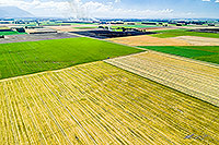 Canterbury Plains arable land