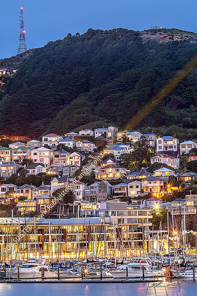 Photo of Wellington waterfront with houses perched above Oriental Bay on Mount Victoria at dusk. Chaffers Marina and Clyde Quay Wharf below, Wellington, Wellington City, Wellington Region, New Zealand (NZ)