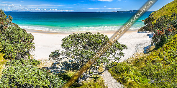 Photo of Otama Beach and Otama Bay, with flowering Pohutukawa trees lining the foreshore. Mercury Islands behind. Aerial view, Otama Beach, Coromandel Peninsula, Thames-Coromandel, Waikato Region, New Zealand (NZ)
