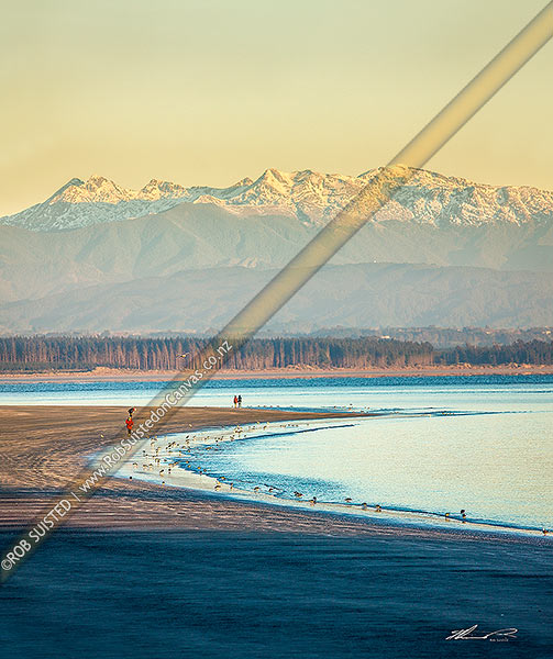 Photo of Tahunanui Beach in Tasman Bay. Rabbit Island and the Arthur Range in Kahurangi National Park beyond. Winter early morning with walkers and birds, Nelson, Nelson City, Nelson Region, New Zealand (NZ)