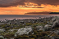 Turakirae Head, Wellington canvas print