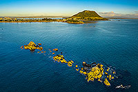 Mt Maunganui, Tauraunga