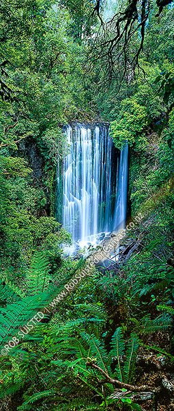 Photo of Korokoro Falls (22metres) on Te korokoroowhaitiri Stream. Vertical panorama, Te Urewera National Park, Wairoa, Hawke's Bay Region, New Zealand (NZ)