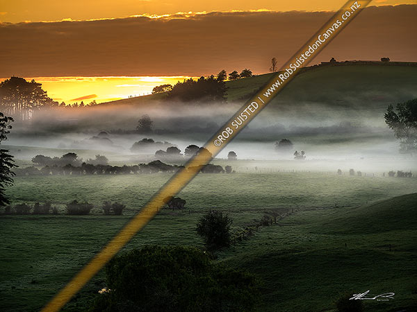 Photo of Misty farmland at dawn near Mangatawhiri, south of Auckland. View over lush pasture and foggy paddocks with golden sunrise, Mangatawhiri, Franklin, Waikato Region, New Zealand (NZ)