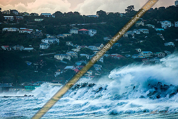 Photo of Wellington southerly storm waves and swell crashing into man made coastal defences at Lyall Bay during winter storm. Melrose suburb beyond, Lyall Bay, Wellington City, Wellington Region, New Zealand (NZ)