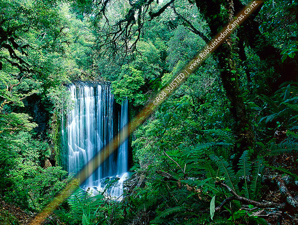 Photo of Korokoro Falls (22metres) on Te korokoroowhaitiri Stream, Te Urewera National Park, Wairoa, Hawke's Bay Region, New Zealand (NZ)